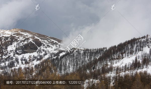 冬山