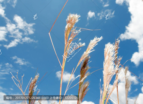 天空