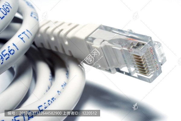 在白色背景的UTP電纜。重點對RJ45連接器。