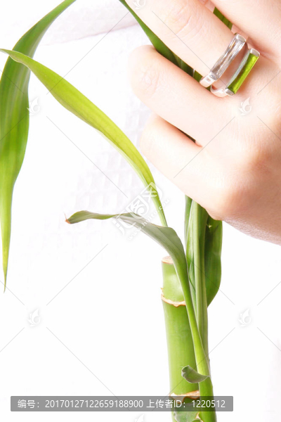 一方面與植物