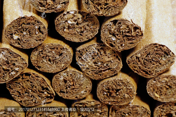 樁的雪茄