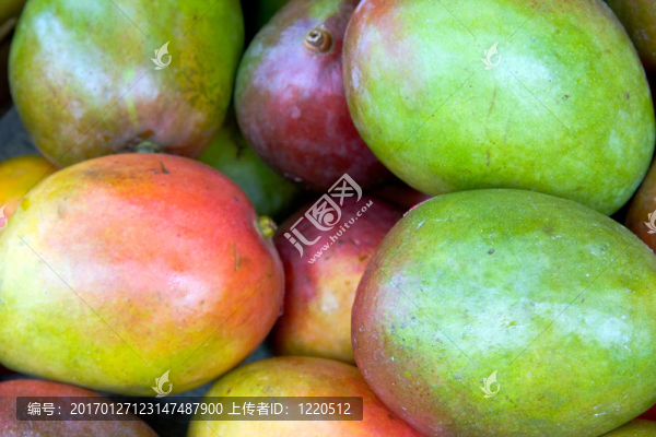 芒果-匯圖網(wǎng) www.fosd68.com 芒果