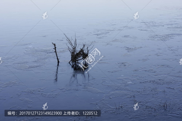結(jié)冰的湖