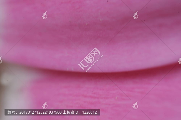 花瓣