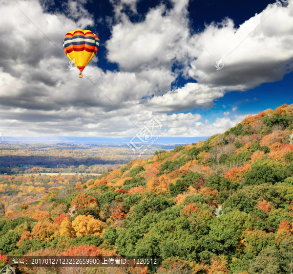 樹葉的風(fēng)景