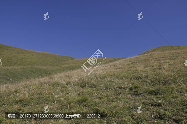 景觀-匯圖網(wǎng) www.fosd68.com 景觀