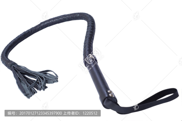 黑單尾鞭。