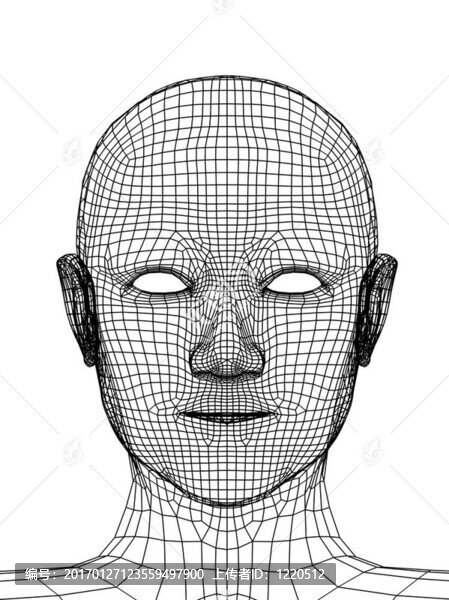 3D網(wǎng)格的人的頭