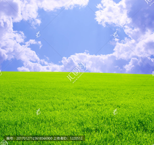 美麗的風(fēng)景