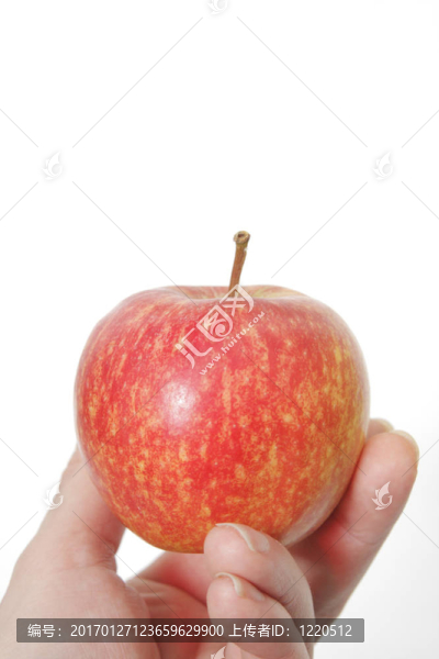蘋(píng)果白