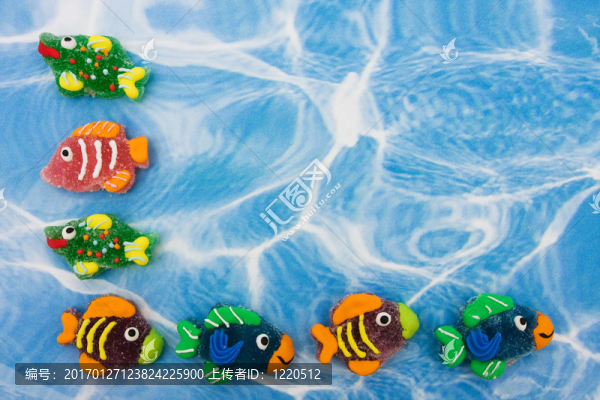 多彩的魚(yú)的邊界