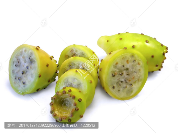 仙人掌上的仙人掌無花果