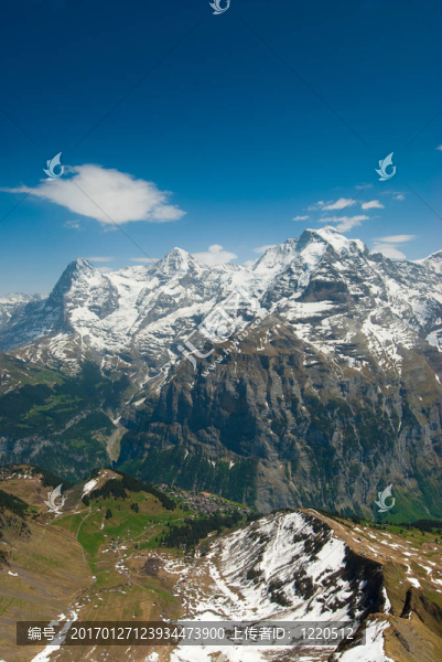 Eiger；植物；少女峰
