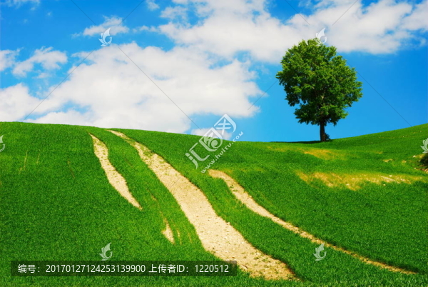 明亮的風(fēng)景