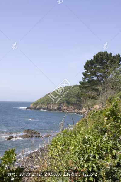 海岸線