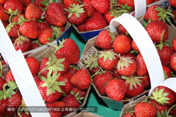 草莓在籃子里