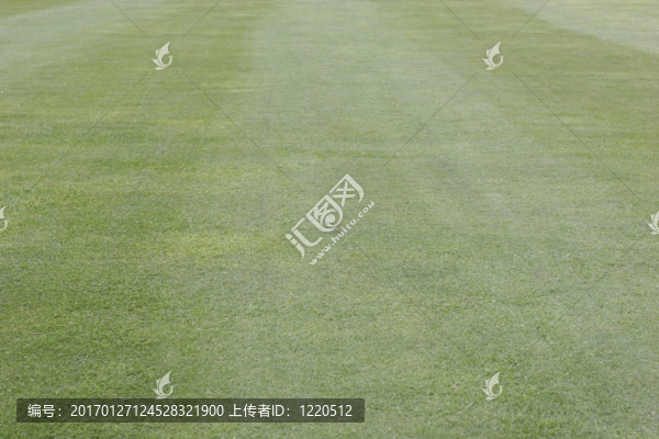 完美的高爾夫球場(chǎng)