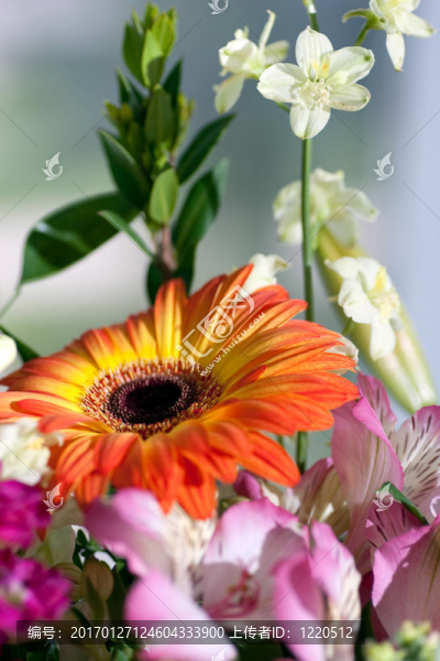插花
