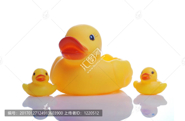 橡皮鴨的家庭