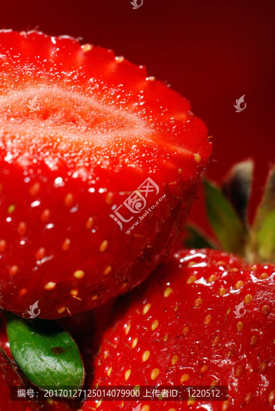 草莓-匯圖網(wǎng) www.fosd68.com 草莓