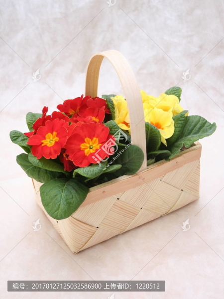 籃子里的花