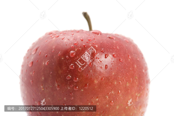 紅蘋果特寫