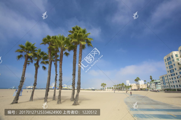 棕櫚和碼頭在圣莫尼卡海灘在洛杉磯