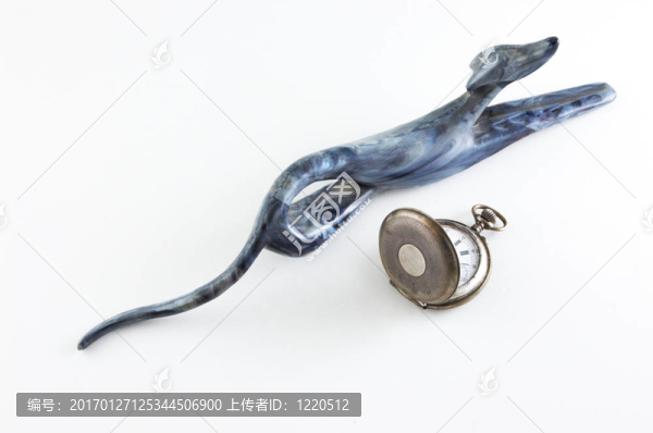 舊手表和狗