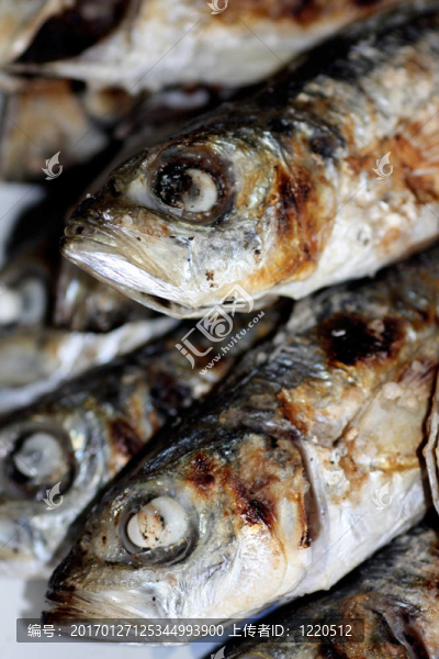 烤沙丁油魚