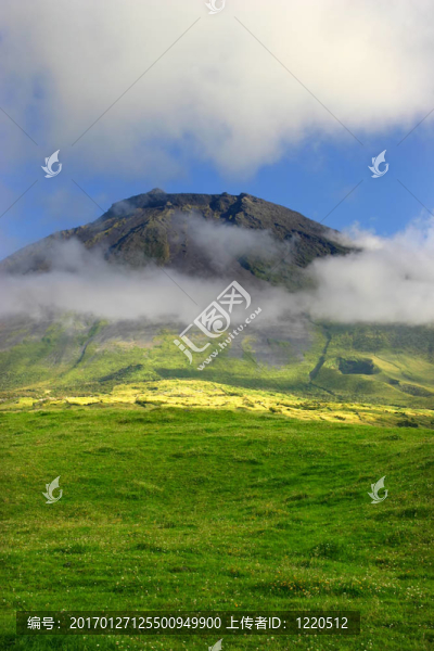 山-匯圖網(wǎng) www.fosd68.com 山