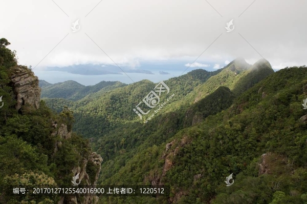 山景