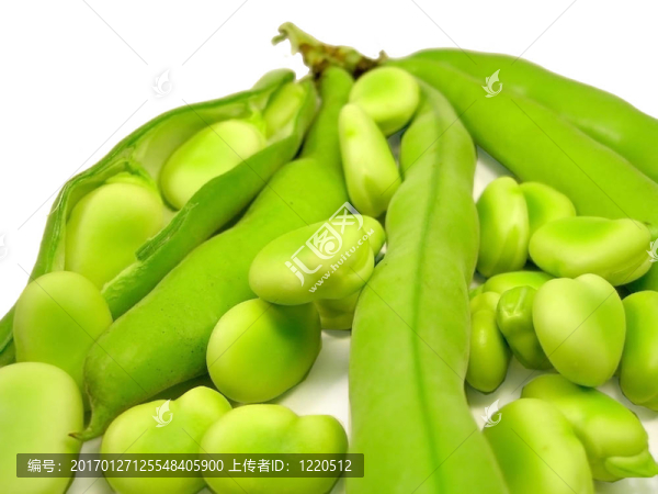 蠶豆-匯圖網(wǎng) www.fosd68.com 蠶豆