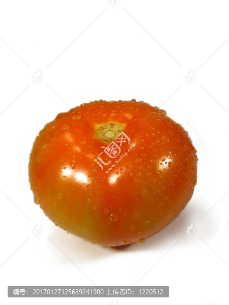 孤立的番茄
