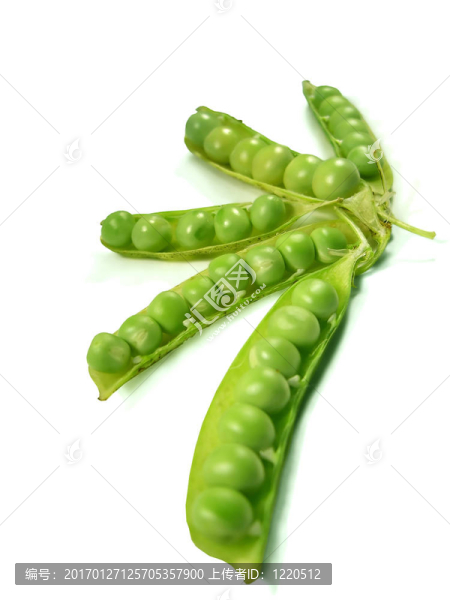 螺旋豌豆