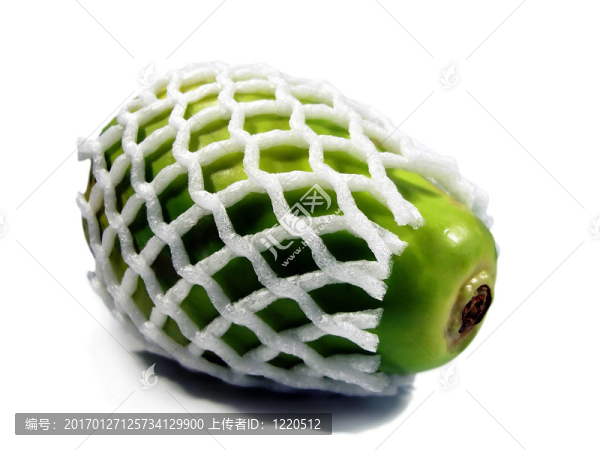 木瓜保護(hù)