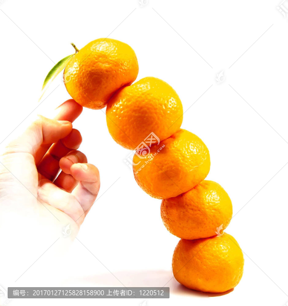 自然的平衡