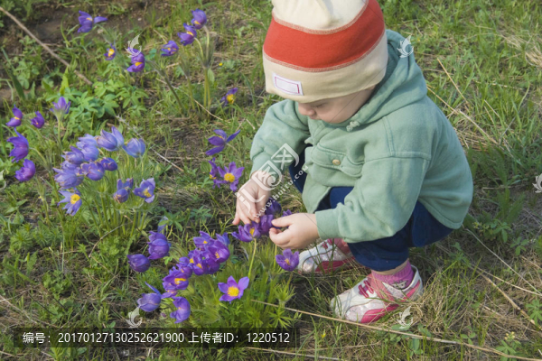 小男孩正在玩花