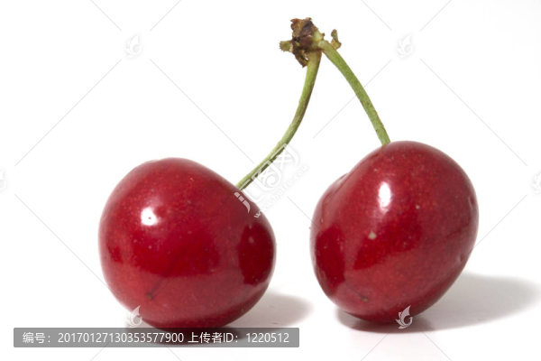 櫻桃