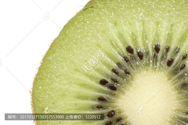 幾維鳥(niǎo)