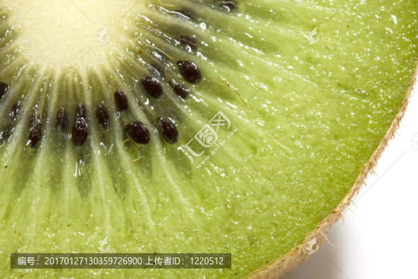幾維鳥(niǎo)