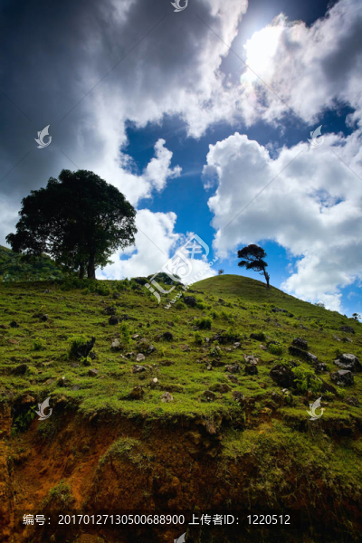 美麗的風(fēng)景