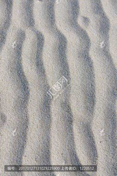 沙浪