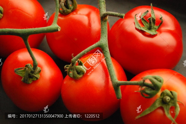 西紅柿