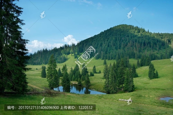 景觀