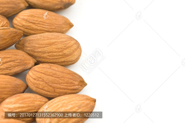 白色背景中的杏仁仁