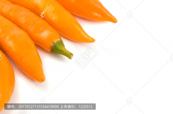 辣椒在白色背景