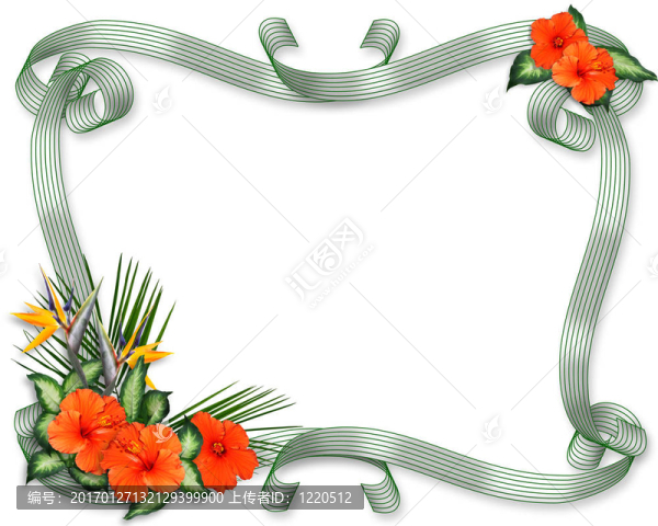 熱帶的芙蓉花邊框