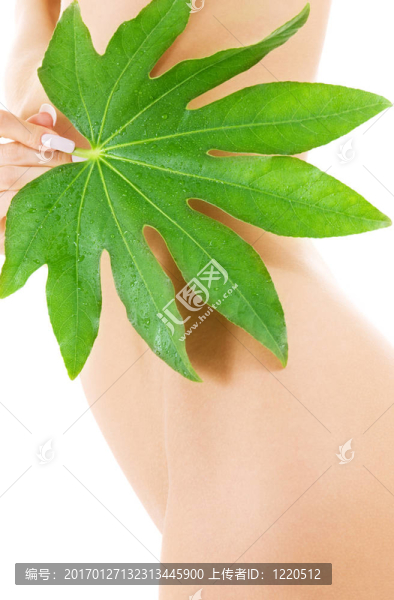 女性軀干與綠色葉白色