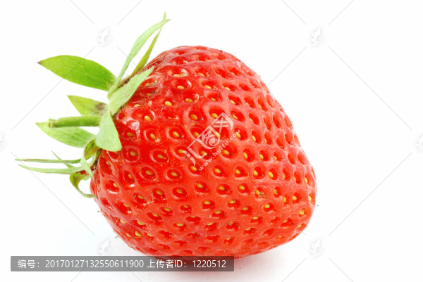草莓