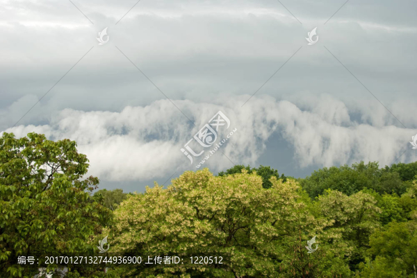 暴風(fēng)雨前。